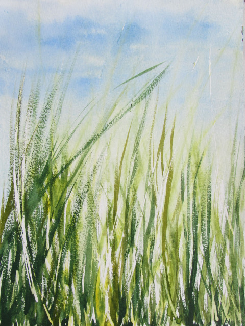 Sigrid Braun-Umbach - Schilf 4