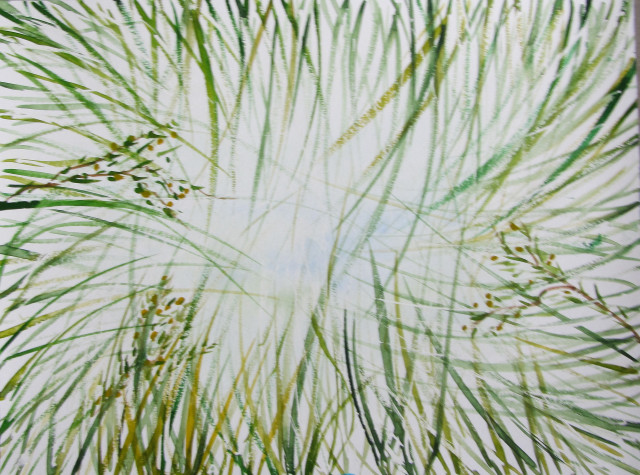 Sigrid Braun-Umbach - Aus der Sicht des Frosches