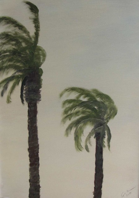 Sigrid Braun-Umbach - Calima