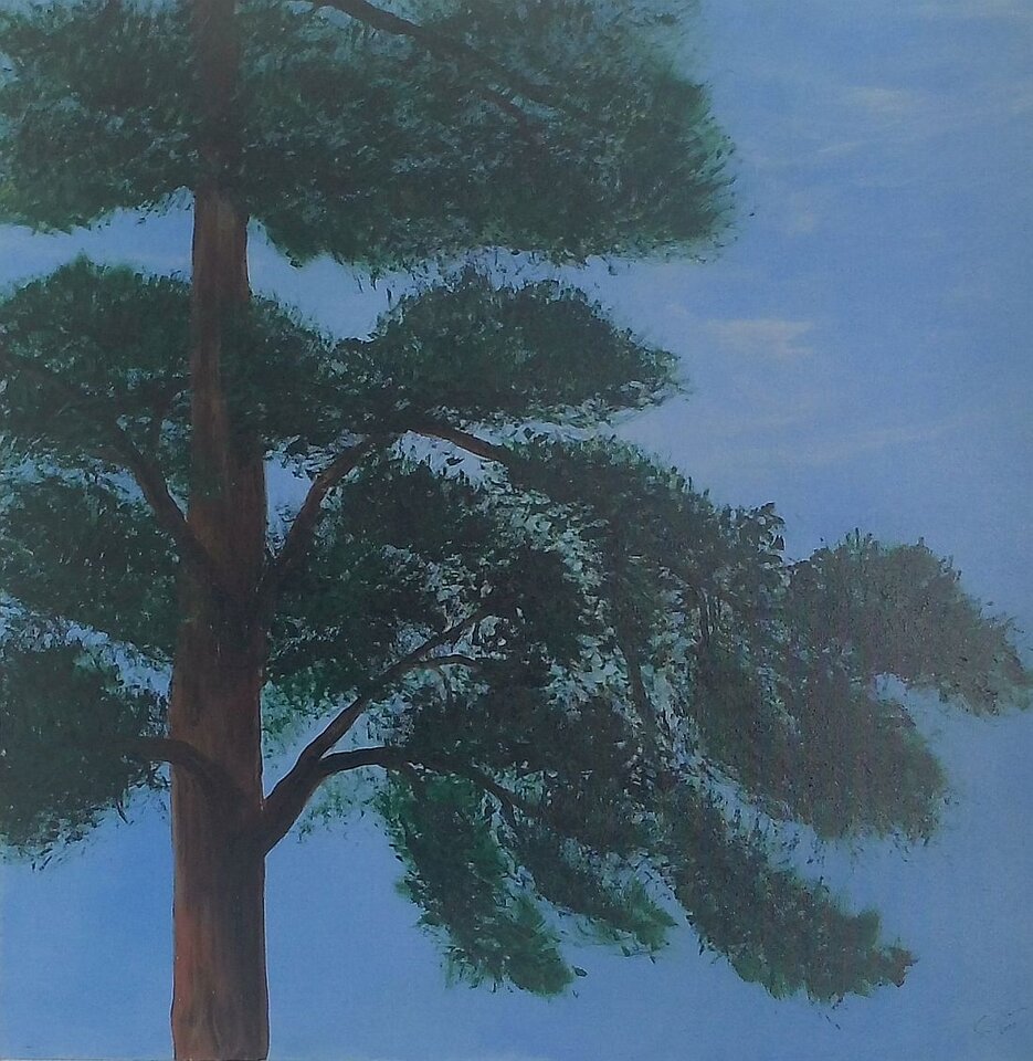 Sigrid Braun-Umbach - Augustmorgen
