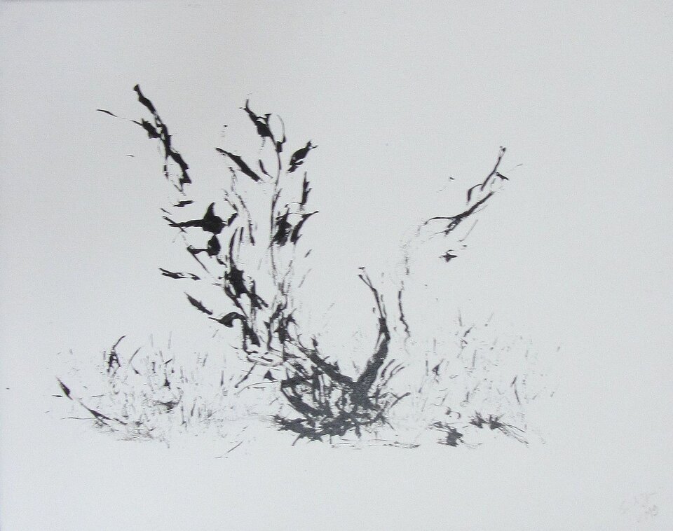 Sigrid Braun-Umbach - Grasbaum 1