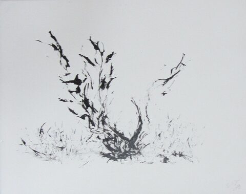 Sigrid Braun-Umbach - Grasbaum 1