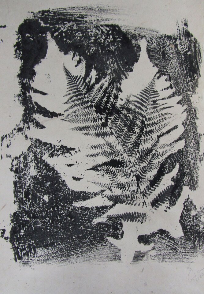 Sigrid Braun-Umbach - Farne wedeln