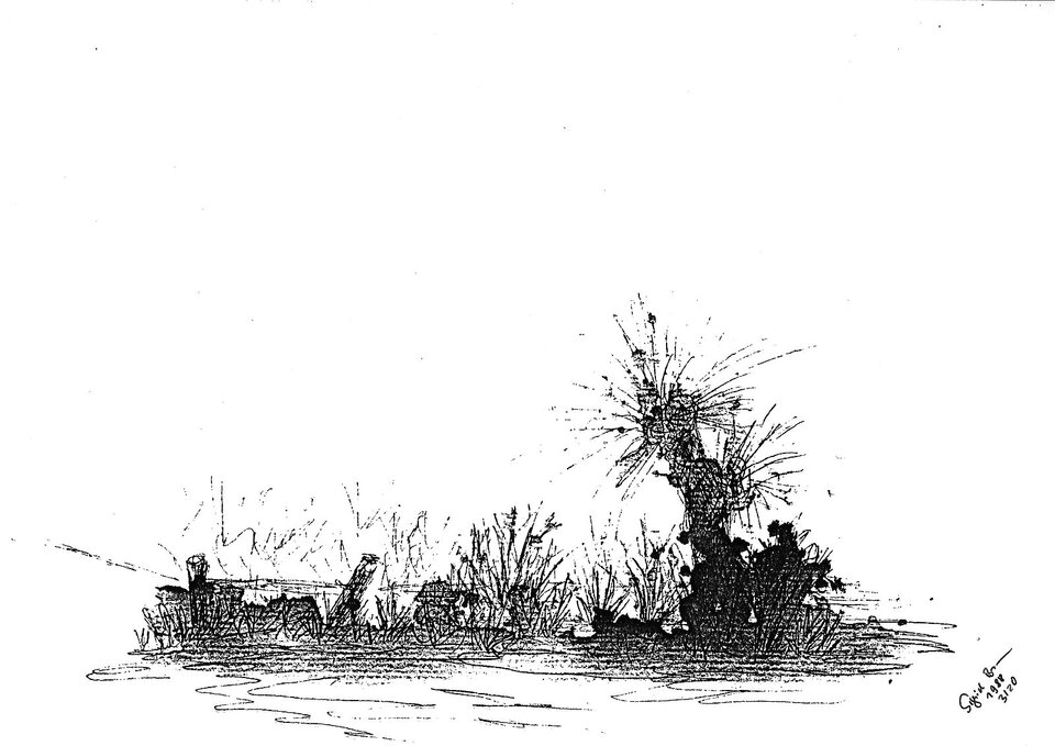 Sigrid Braun-Umbach - Weiden