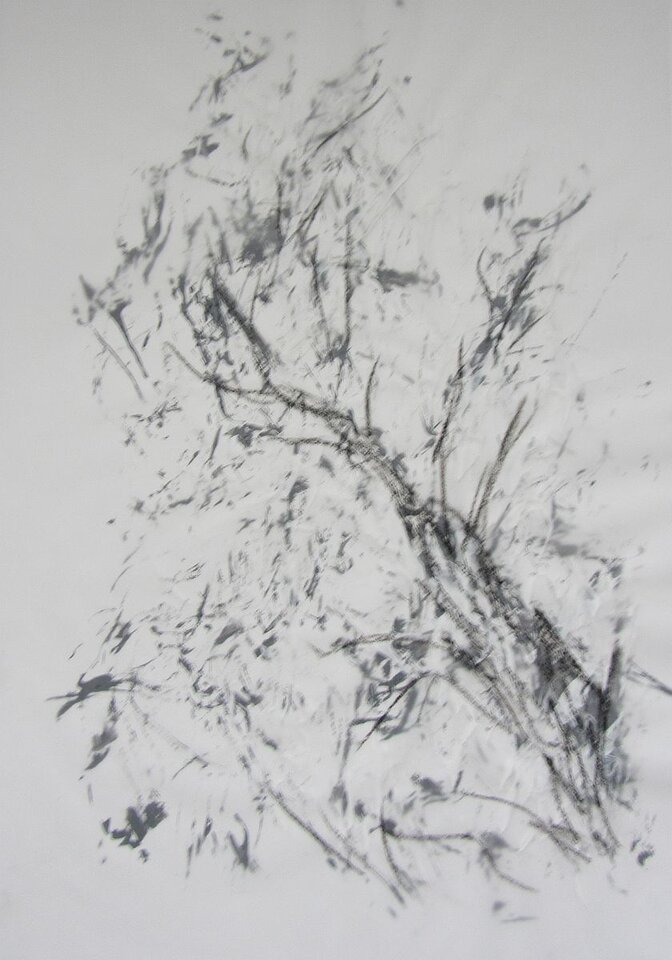 Sigrid Braun-Umbach - Transparent 1