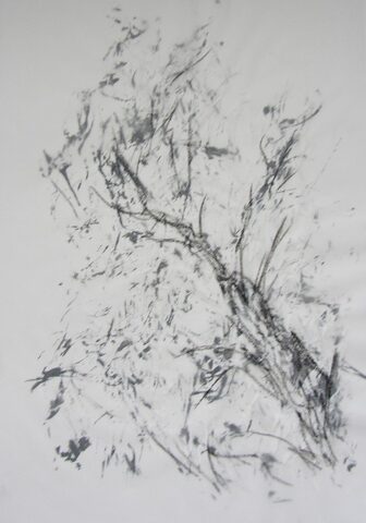 Sigrid Braun-Umbach - Transparent 1