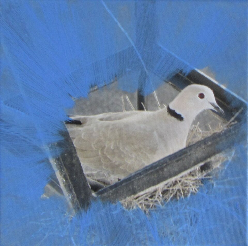 Sigrid Braun-Umbach - Peace 3