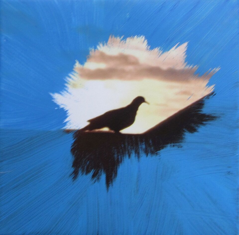 Sigrid Braun-Umbach - Ich kann schon fliegen!