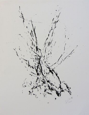 Sigrid Braun-Umbach - Seegras 2