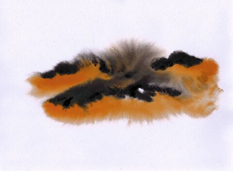 Sigrid Braun-Umbach - Aquarell LZ 3